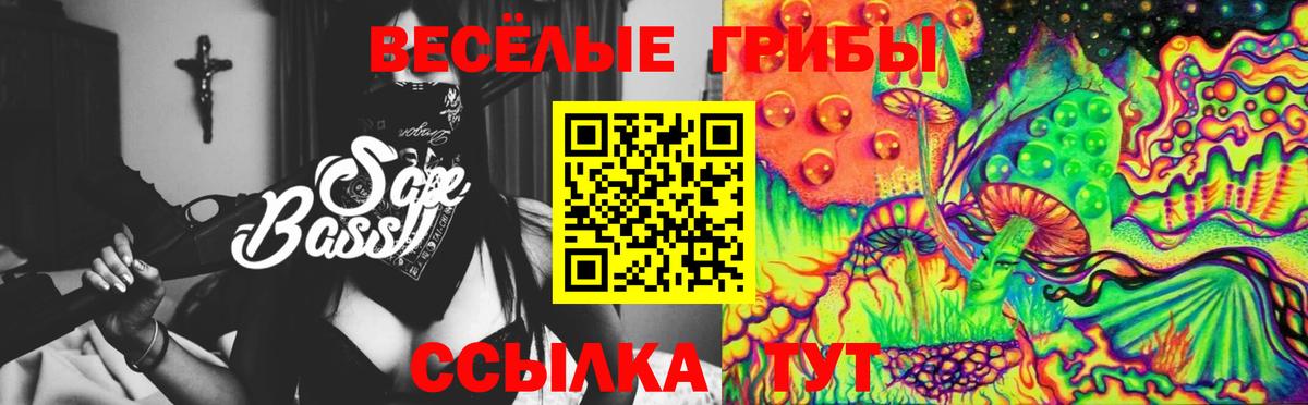 Псилоцибиновые грибы GOLDEN TEACHER  как найти закладки  Волжский  Вход с VPN 